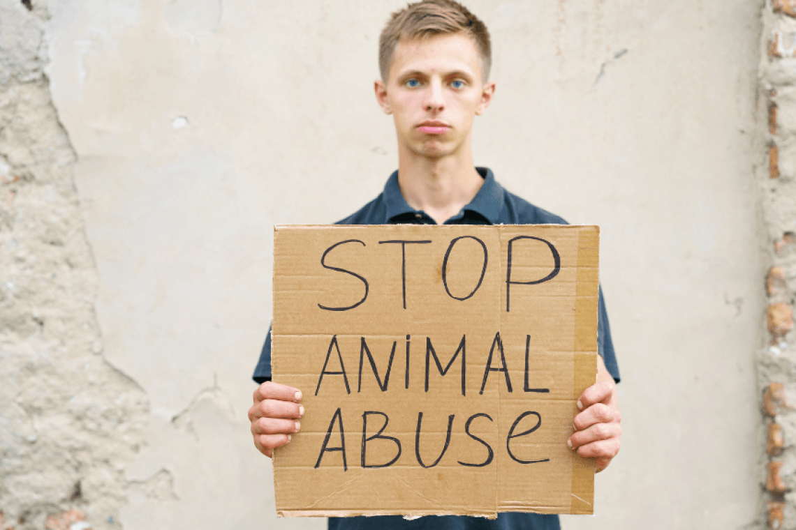 Que faire en cas de maltraitance animale ? Voici comment agir